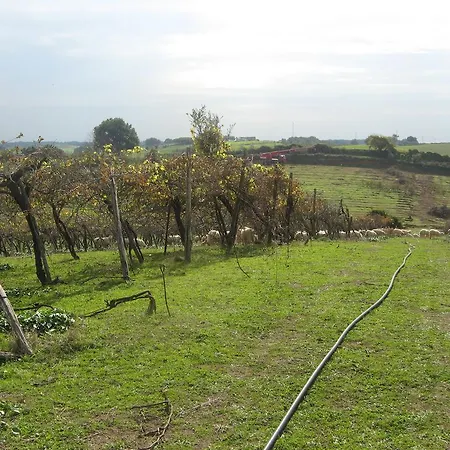 Casale Del Tiglio * Cerveteri