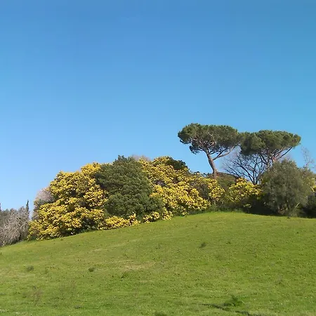 Panzió Casale Del Tiglio Cerveteri