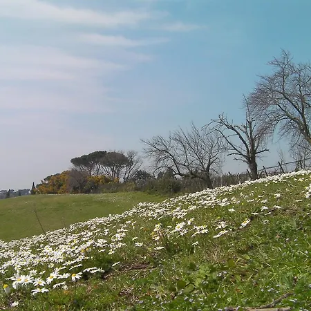 Casale Del Tiglio Cerveteri