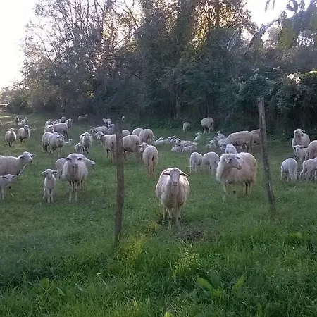 Casale Del Tiglio Nocleg ze śniadaniem *